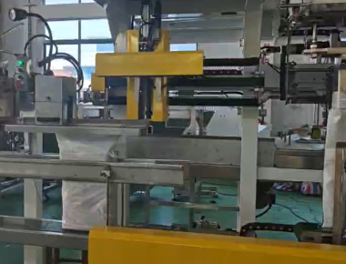 Qualität  Dual-Lane Salt Packaging Machine Line - High-Capacity Salt Packaging Solution Fabrik