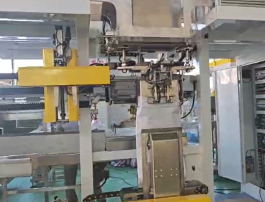 Hochgeschwindigkeits-VFFS-Salzverpackungsmaschine für 50g bis 2kg Beutel